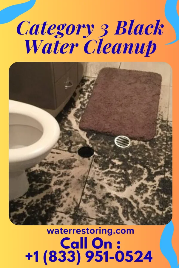 Category 3 Black Water Cleanup in Tidmore Bend, AL