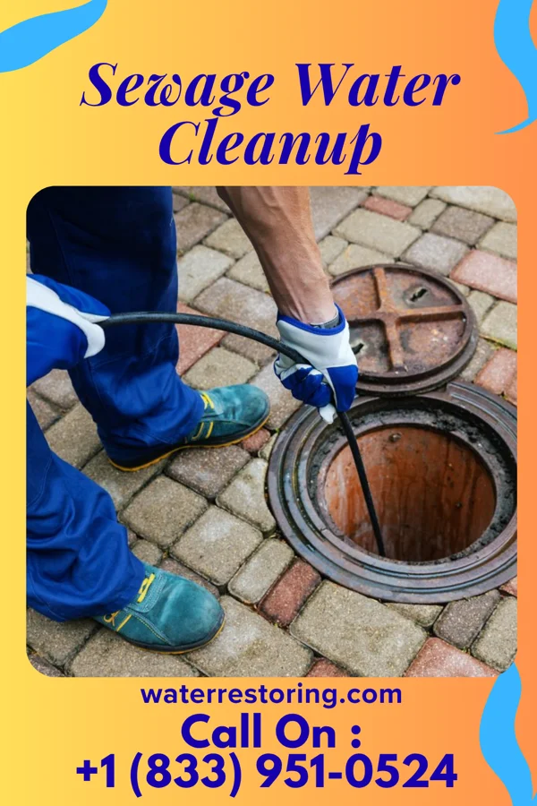 Sewage Water Cleanup in Tidmore Bend, AL